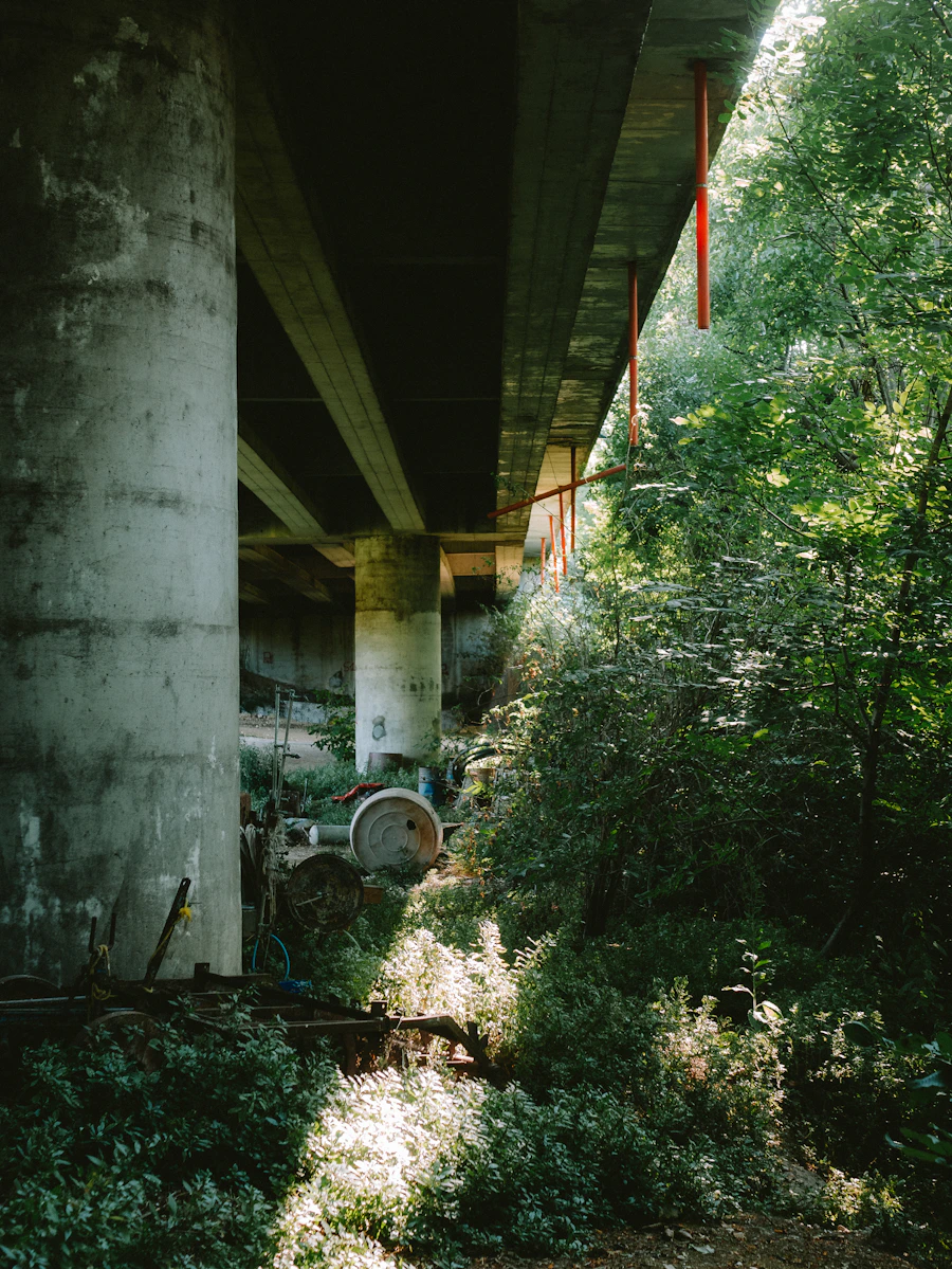 Bridge infrastructure